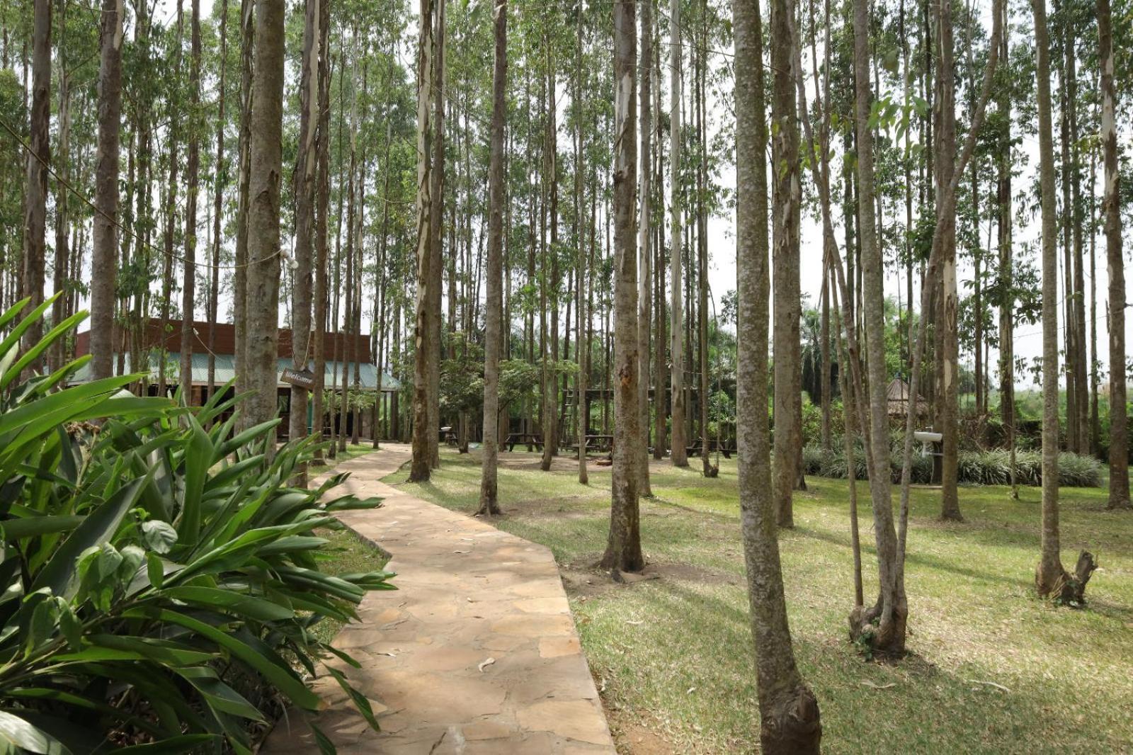 Kabalega Resort - Masindi Экстерьер фото